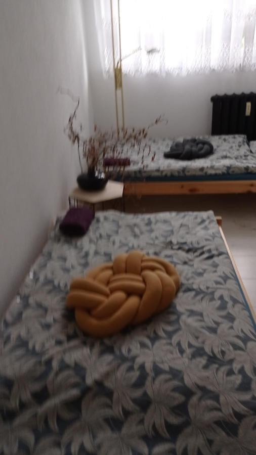 Babcares Apa Gory Izerskie Apartment Mirsk Ngoại thất bức ảnh
